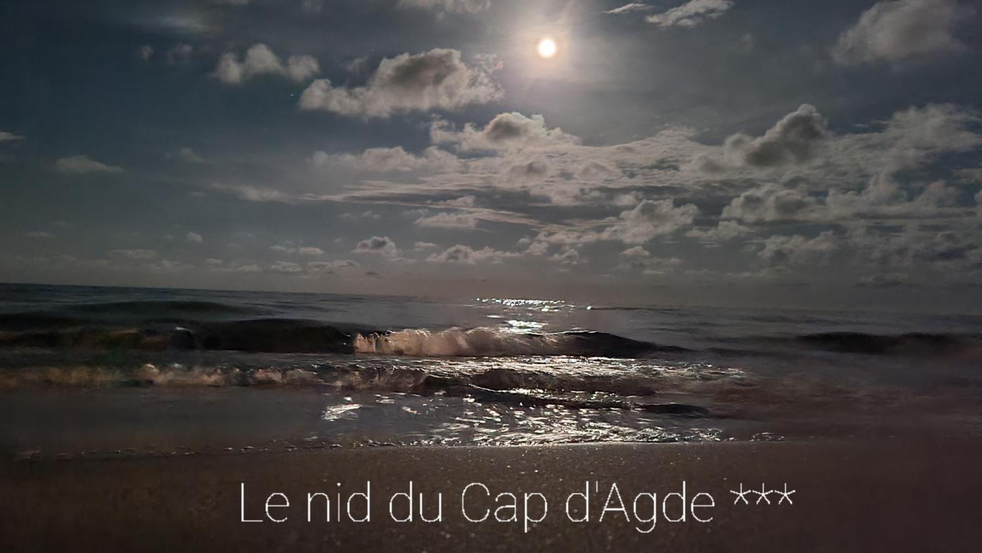 Residence De Standing La Pecherie Spacieux T3 Comme Un Cocon Familial Vue Mer Et Sur L'Avant Port Sur Le Bout Du Bout De Cap D'Agde Seule Cap En Occitanie Zewnętrze zdjęcie
