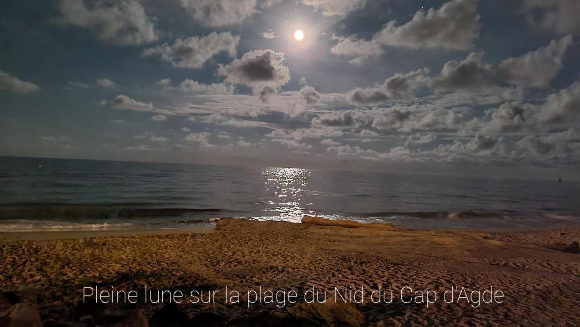 Residence De Standing La Pecherie Spacieux T3 Comme Un Cocon Familial Vue Mer Et Sur L'Avant Port Sur Le Bout Du Bout De Cap D'Agde Seule Cap En Occitanie Zewnętrze zdjęcie