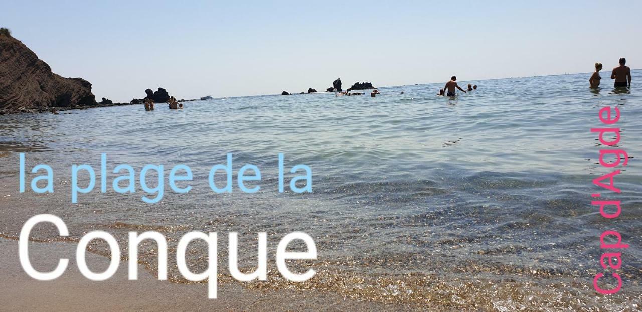 Residence De Standing La Pecherie Spacieux T3 Comme Un Cocon Familial Vue Mer Et Sur L'Avant Port Sur Le Bout Du Bout De Cap D'Agde Seule Cap En Occitanie Zewnętrze zdjęcie